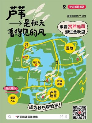 跟著這份賞蘆地圖,走進(jìn)沙家浜的秋