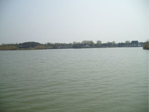 紅色經典之旅 探訪常熟沙家浜革命圣地